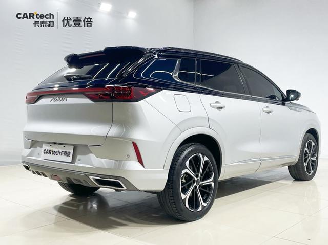 Dongfeng Haoji