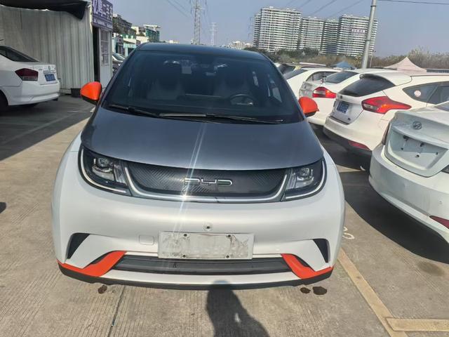 BYD Dolphin