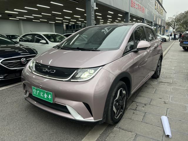 BYD Dolphin