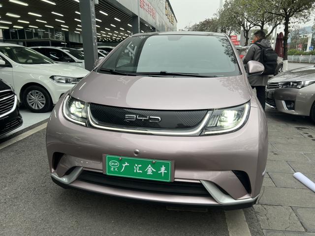 BYD Dolphin