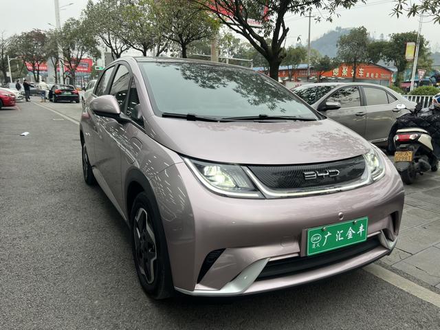 BYD Dolphin