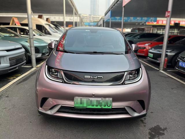 BYD Dolphin