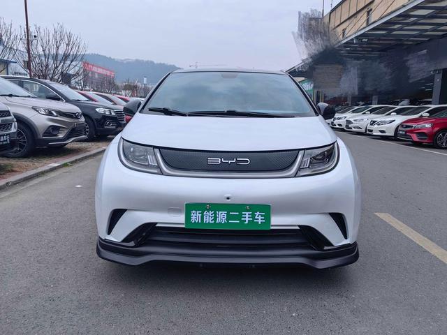 BYD Dolphin