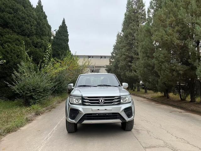 Dongfeng Ruiqi