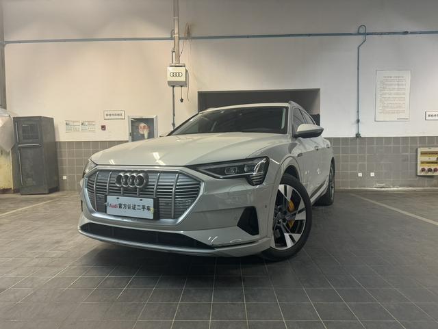 Audi e-tron (imported)