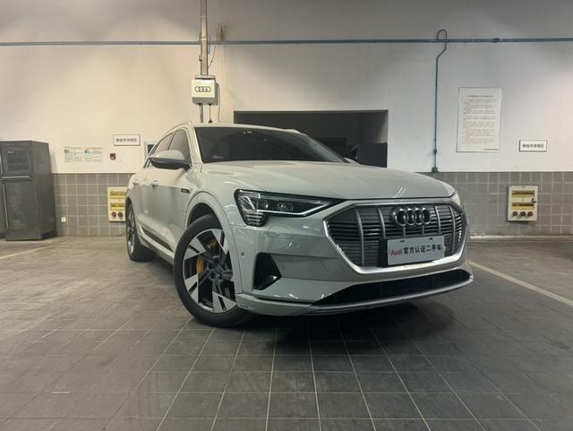 Audi e-tron (imported)