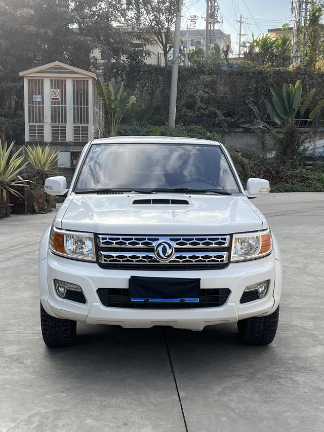 Dongfeng Ruiqi