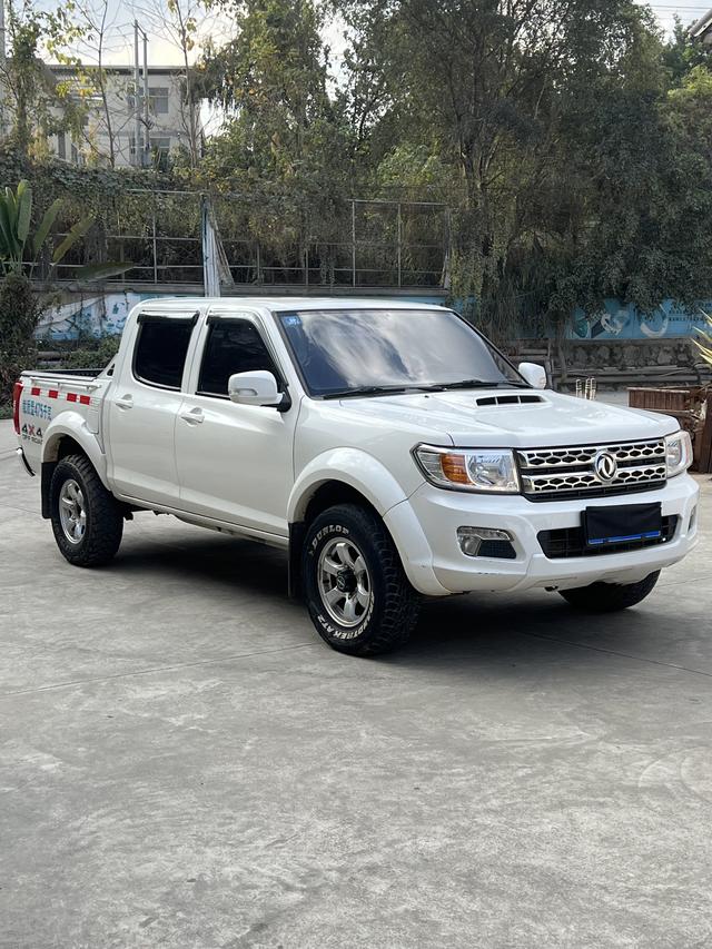 Dongfeng Ruiqi