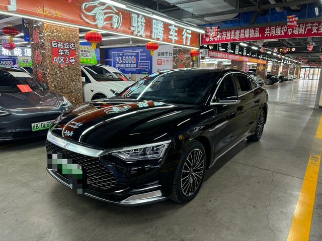 BYD Chinese DM