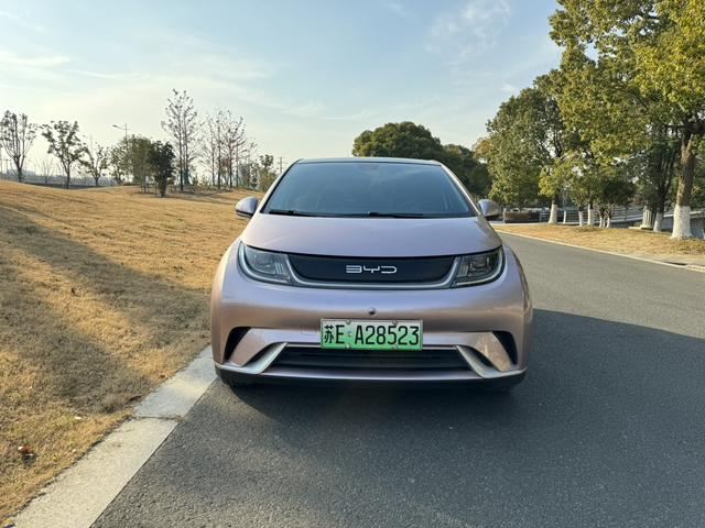 BYD Dolphin