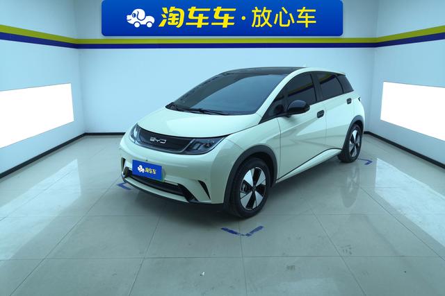 BYD Dolphin