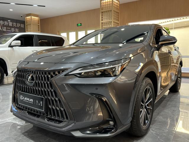 Lexus NX PHEV