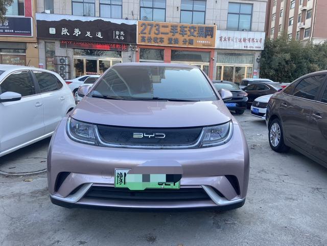 BYD Dolphin