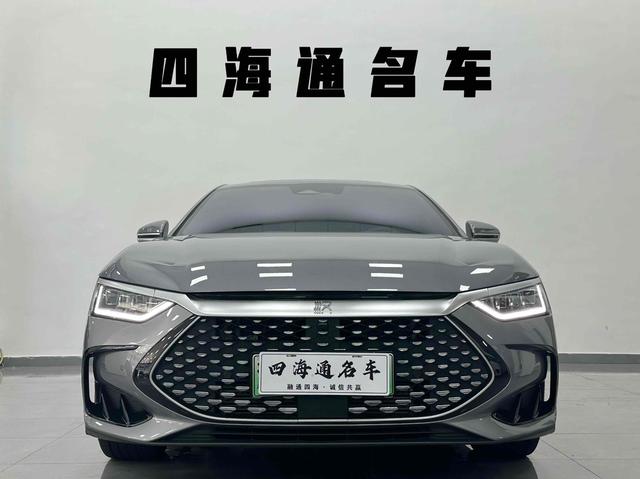 BYD Chinese DM