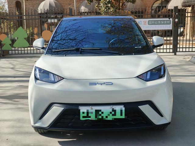 BYD Seagull