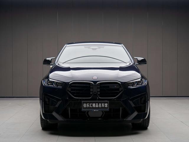 BMW X6 M