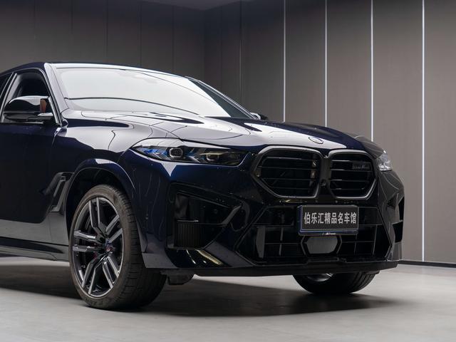 BMW X6 M