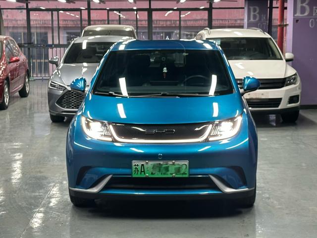 BYD Dolphin