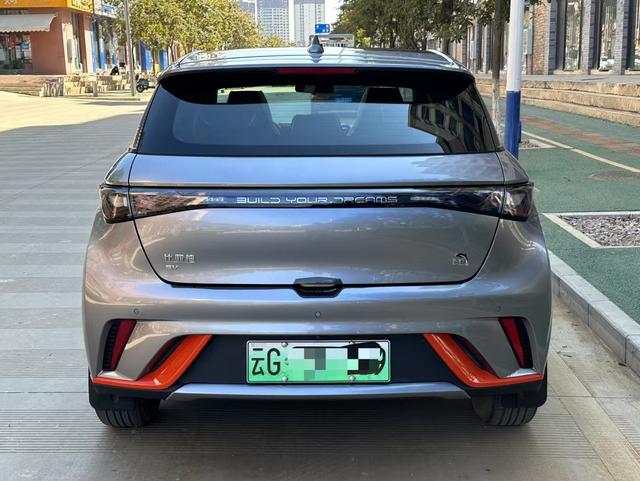 BYD Dolphin