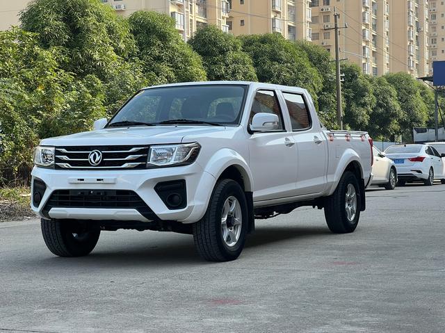 Dongfeng Ruiqi