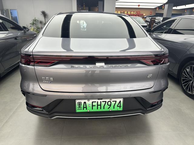 BYD Chinese DM