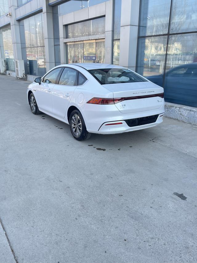 BYD Qin PLUS DM