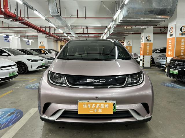 BYD Dolphin