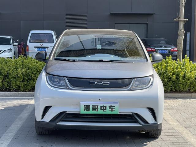 BYD Dolphin