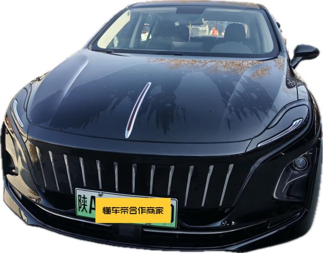 Hongqi E-QM5