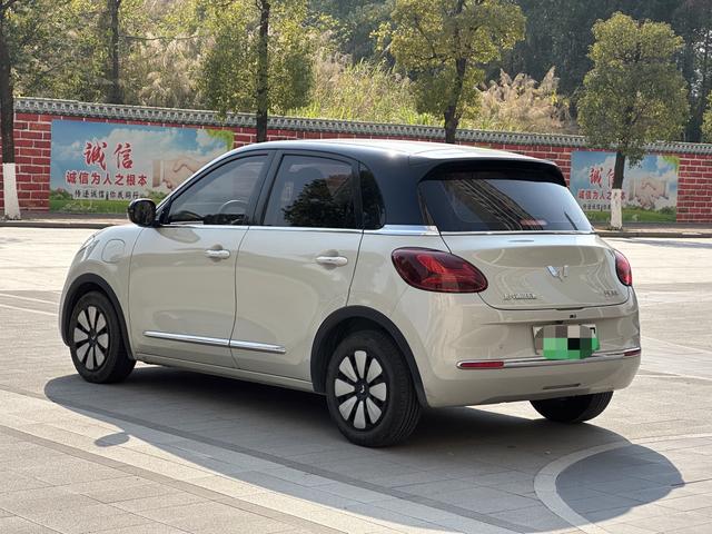 Wuling Bingo