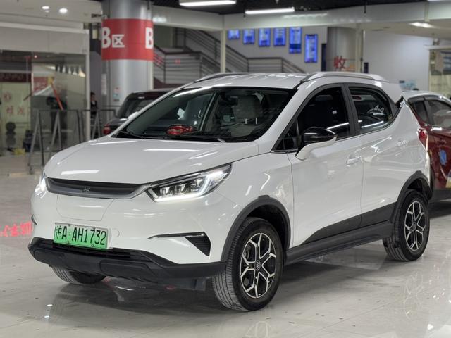 BYD Yuan Pro