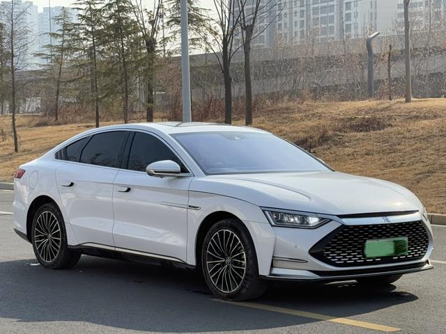 BYD Chinese DM