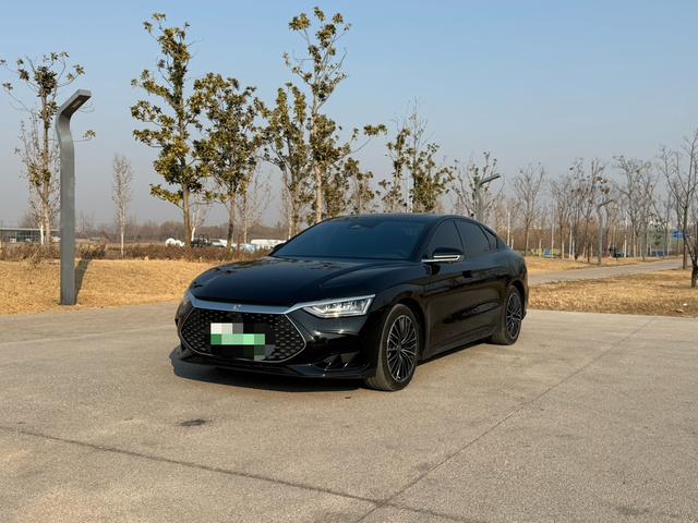 BYD Chinese DM