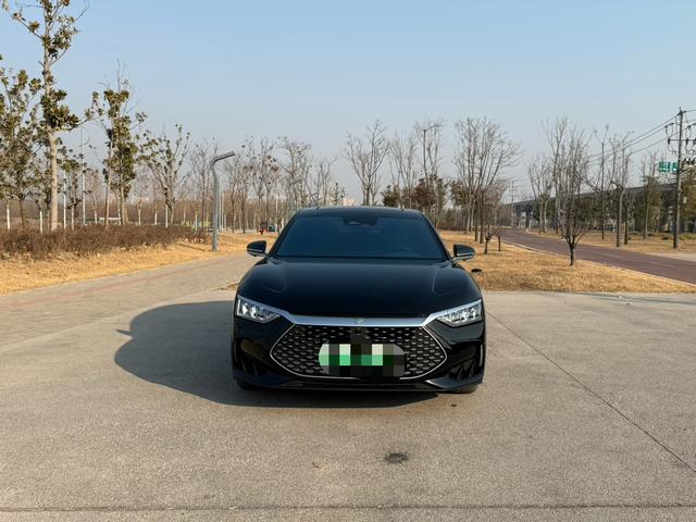 BYD Chinese DM