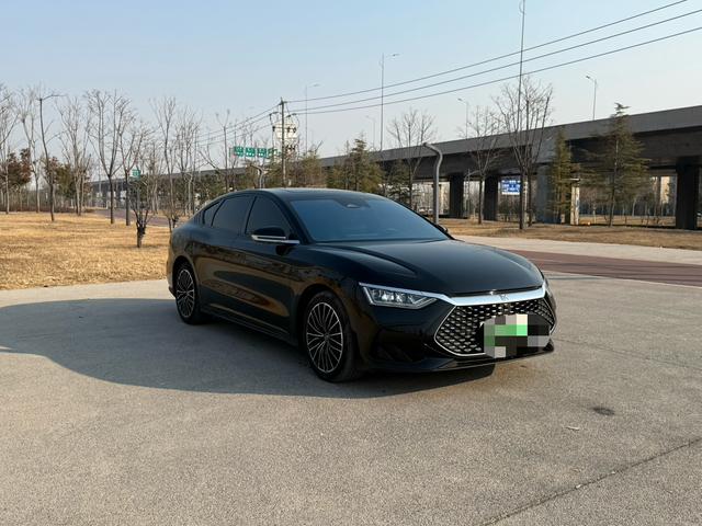 BYD Chinese DM