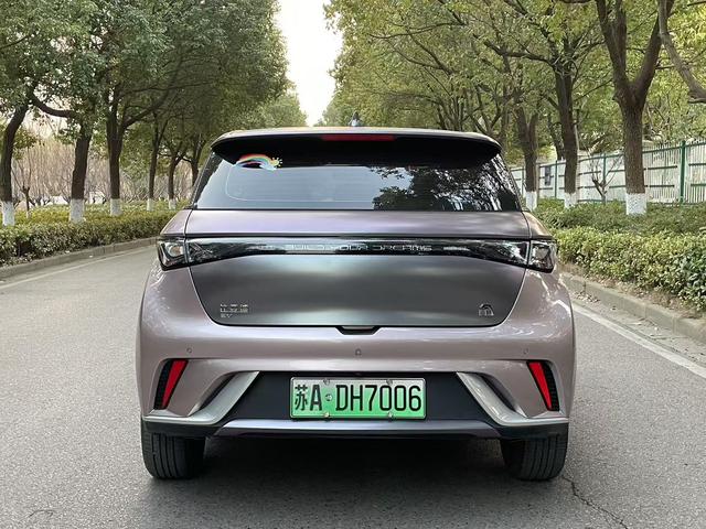 BYD Dolphin