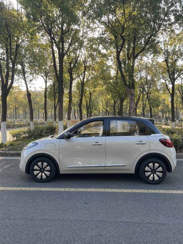 Wuling Bingo