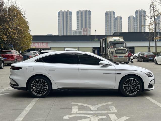 BYD Chinese DM