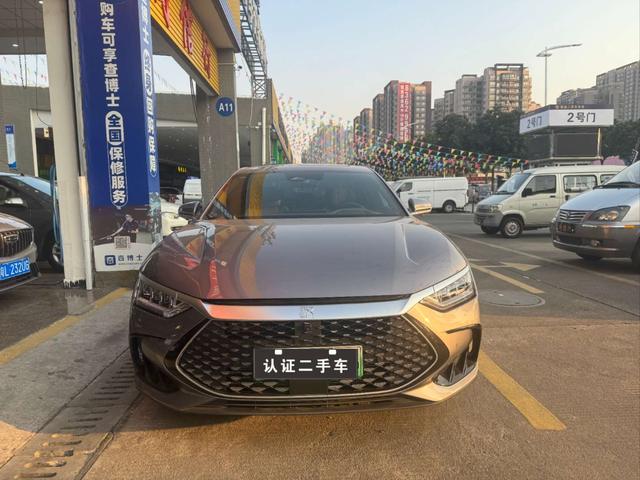 BYD Chinese DM