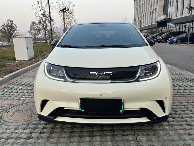 BYD Dolphin