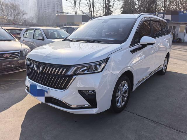 Wuling Jiachen