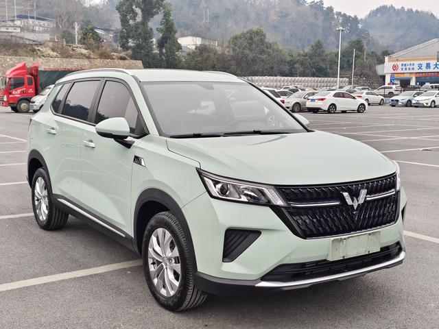 Wuling Star