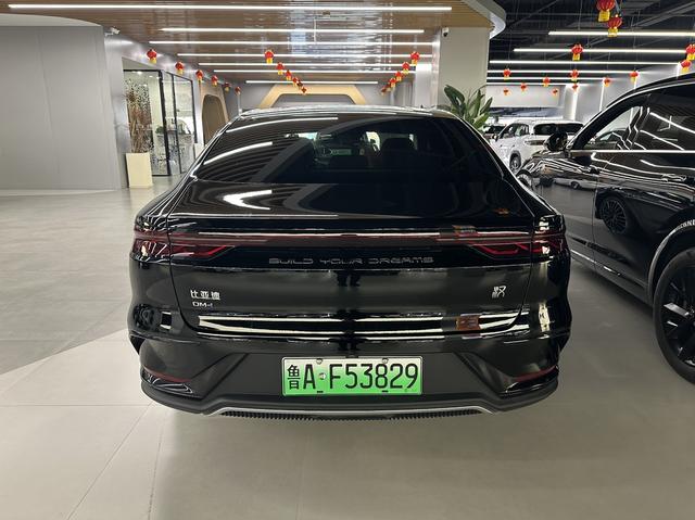 BYD Chinese DM