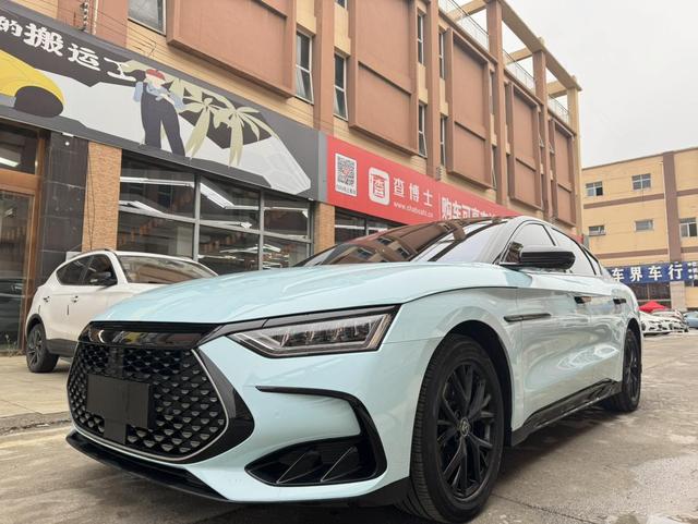 BYD Chinese DM