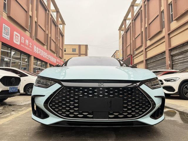 BYD Chinese DM