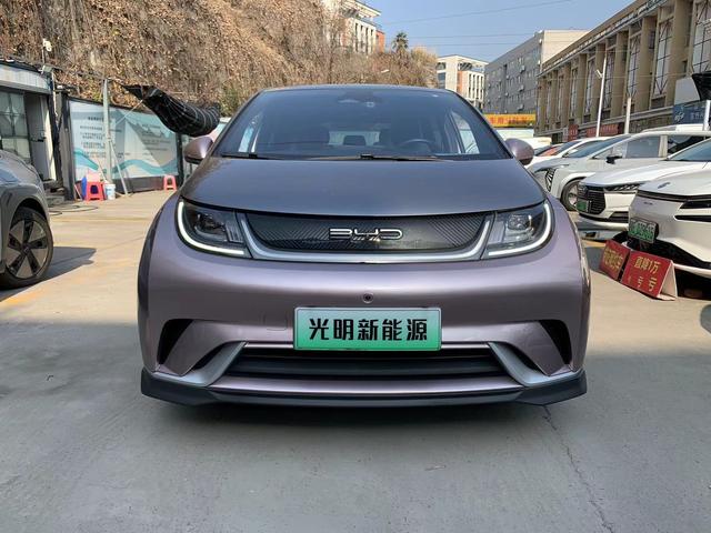 BYD Dolphin