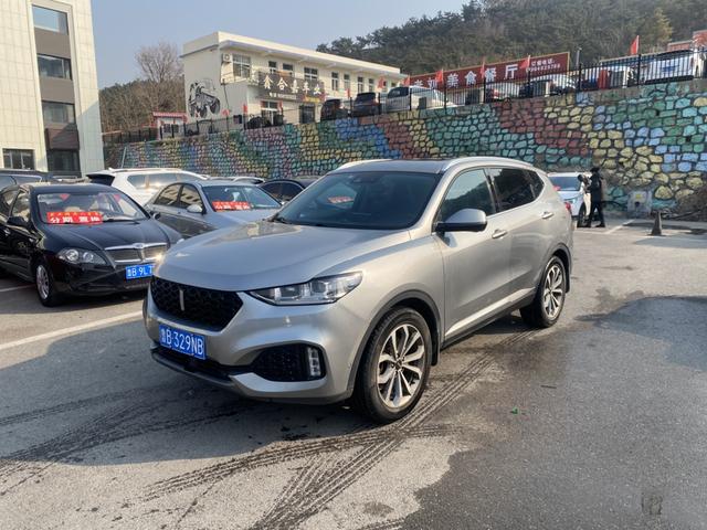 Wei brand VV6