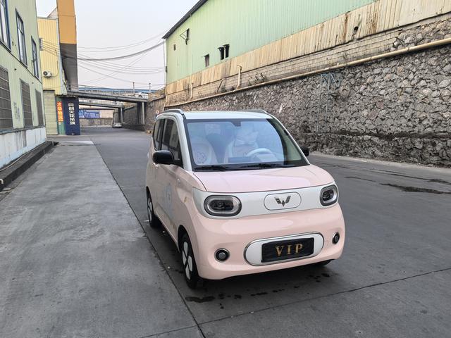 Wuling Hongguang MINIEV