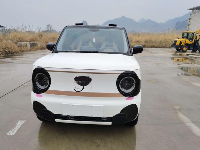 Geely Panda