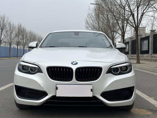 BMW 2 Series (Imported)